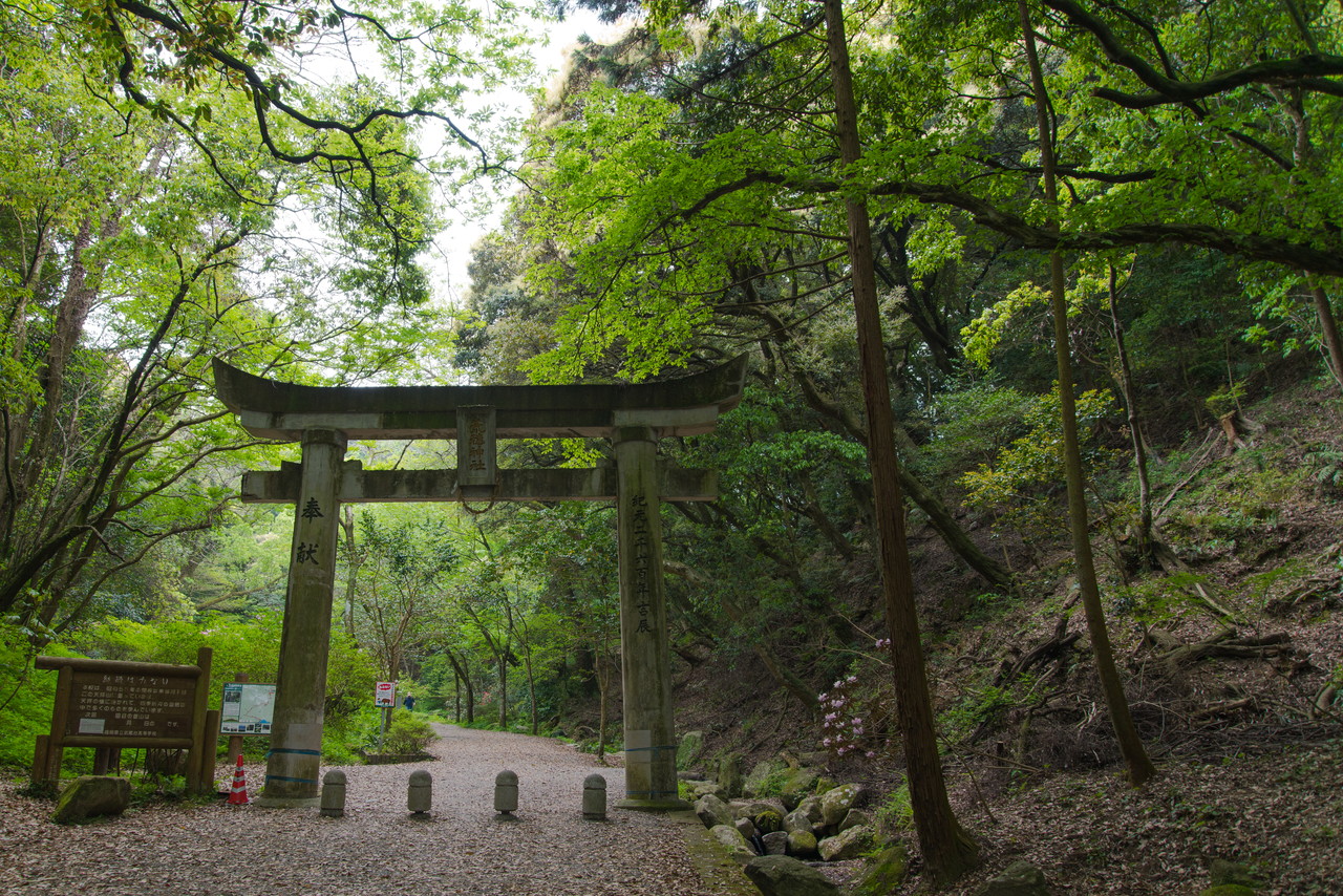 石楠花谷へその1