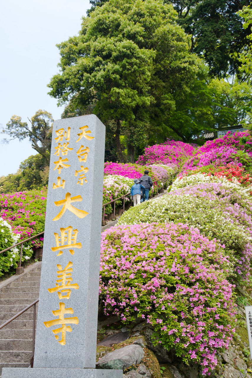 大興善寺